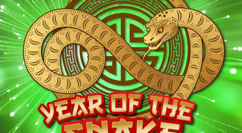 Year of the Snake