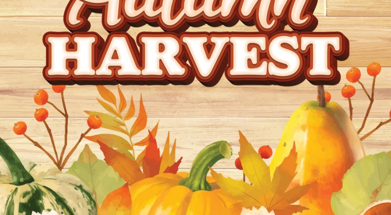 Autumn Harvest