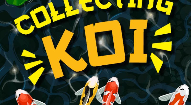 Collecting Koi