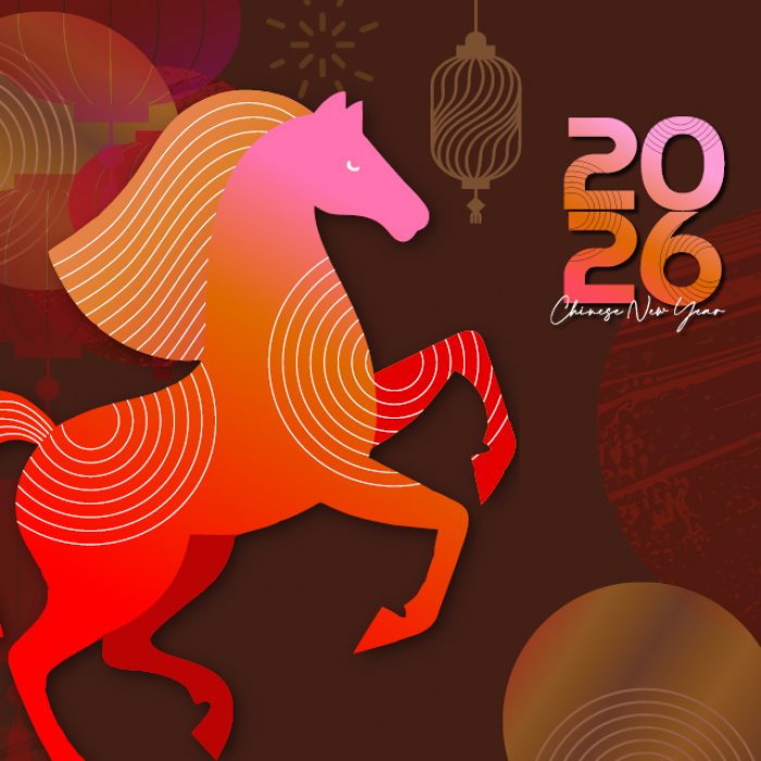 Year of the Horse